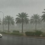 Rain showers cool down Al Ain, weather alerts issued across Abu Dhabi